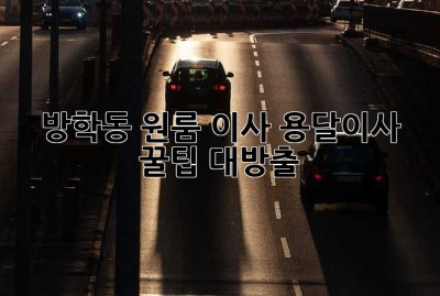 방학동 원룸 이사? 용달이사 꿀팁 대방출!