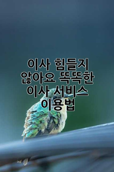 이사, 힘들지 않아요! 똑똑한 이사 서비스 이용법