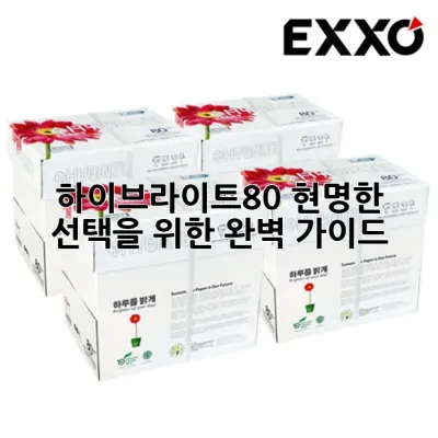 하이브라이트80, 현명한 선택을 위한 완벽 가이드