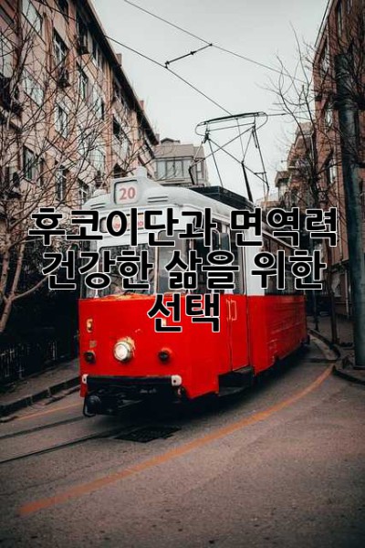 후코이단과 면역력: 건강한 삶을 위한 선택