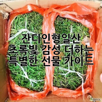 잔디인형일산: 초록빛 감성 더하는 특별한 선물 가이드 🌱