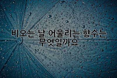 비오는 날, 어울리는 향수는 무엇일까요? ✨