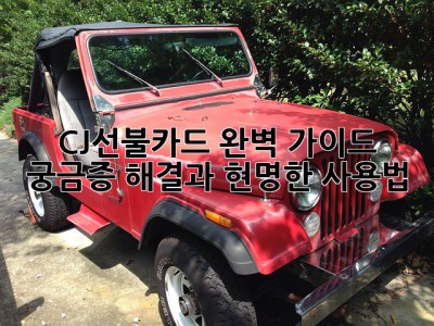 CJ선불카드 완벽 가이드: 궁금증 해결과 현명한 사용법!