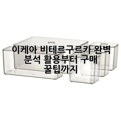 이케아 비테르구르카 완벽 분석: 활용부터 구매 꿀팁까지!