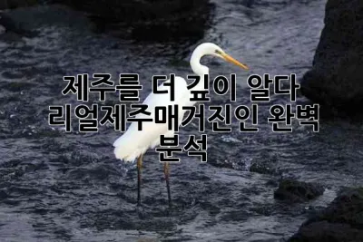 제주를 더 깊이 알다! 리얼제주매거진인 완벽 분석 🍊