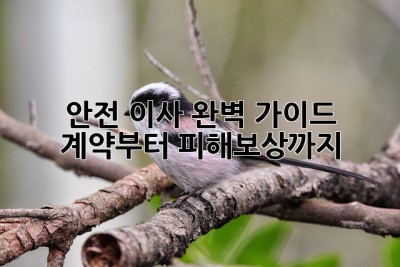 안전 이사 완벽 가이드 🚚 계약부터 피해보상까지 🛡️