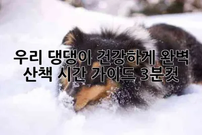 우리 댕댕이🐶 건강하게! 완벽 산책 시간 가이드 (3분컷)