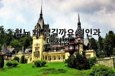 혈뇨, 왜 생길까요? 원인과 대처법