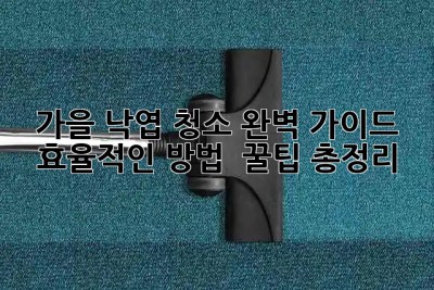 가을 낙엽🍂 청소 완벽 가이드: 효율적인 방법 & 꿀팁🍯 총정리!