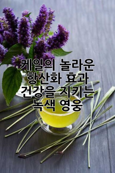 케일의 놀라운 항산화 효과: 건강을 지키는 녹색 영웅