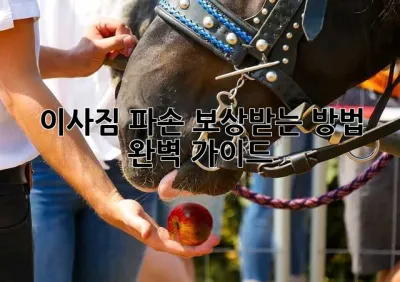 이사짐 파손? 보상받는 방법 완벽 가이드!