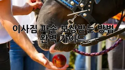이사짐 파손? 보상받는 방법 완벽 가이드!