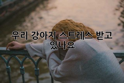 우리 강아지, 스트레스 받고 있나요?