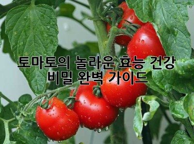 토마토의 놀라운 효능: 건강 비밀 완벽 가이드