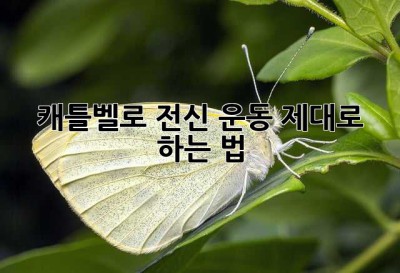 캐틀벨로 전신 운동, 제대로 하는 법!