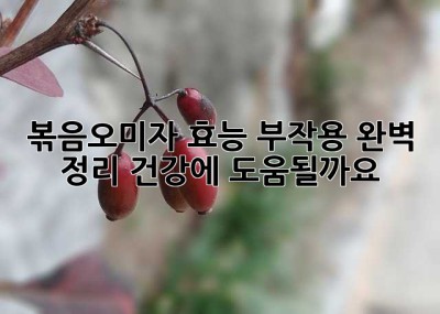 볶음오미자 효능, 부작용 완벽 정리! 건강에 도움될까요?