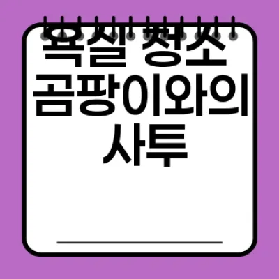 위생 청소 관리: 깨끗한 공간, 건강한 삶