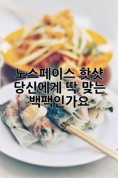 노스페이스 핫샷: 당신에게 딱 맞는 백팩인가요?