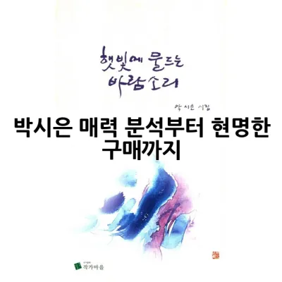 박시은: 매력 분석부터 현명한 구매까지