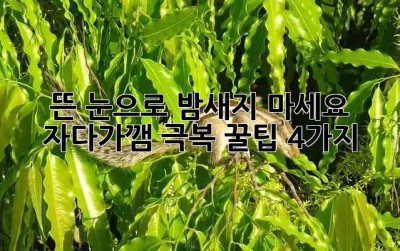 뜬 눈으로 밤새지 마세요! 🌙 자다가깸 극복 꿀팁 4가지 ✨