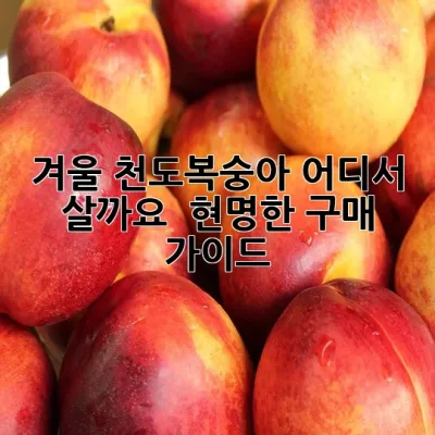 겨울 천도복숭아 어디서 살까요? 💖 현명한 구매 가이드