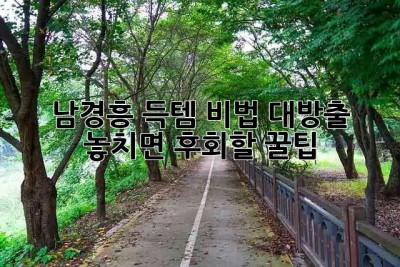 ✨ 남경흥 득템 비법 대방출! 놓치면 후회할 꿀팁🍯